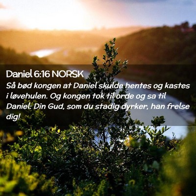 Picture 02 - Daniel 6:16 NORSK - Så bød kongen at Daniel skulde hentes og kastes - Bible Verse Picture