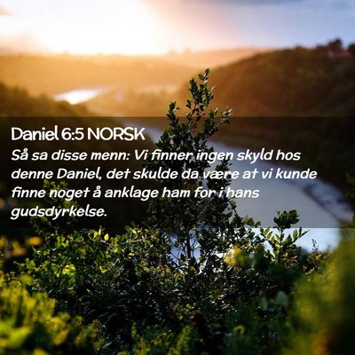 Picture 02 - Daniel 6:5 NORSK - Så sa disse menn: Vi finner ingen skyld hos - Bible Verse Picture