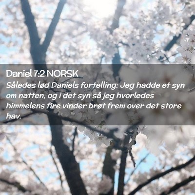 Picture 02 - Daniel 7:2 NORSK - Således lød Daniels fortelling: Jeg hadde et - Bible Verse Picture