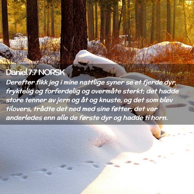 Picture 02 - Daniel 7:7 NORSK - Derefter fikk jeg i mine nattlige syner se et - Bible Verse Picture
