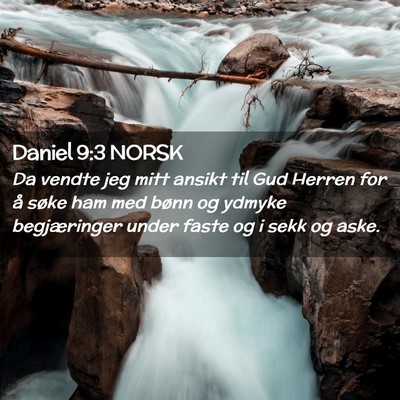 Picture 02 - Daniel 9:3 NORSK - Da vendte jeg mitt ansikt til Gud Herren for å - Bible Verse Picture