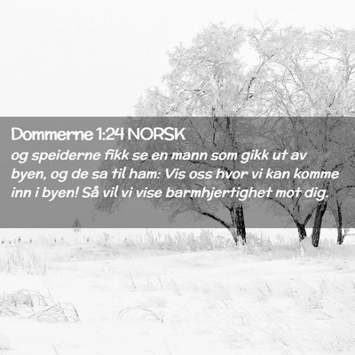 Picture 02 - Dommerne 1:24 NORSK - og speiderne fikk se en mann som gikk ut av byen, - Bible Verse Picture