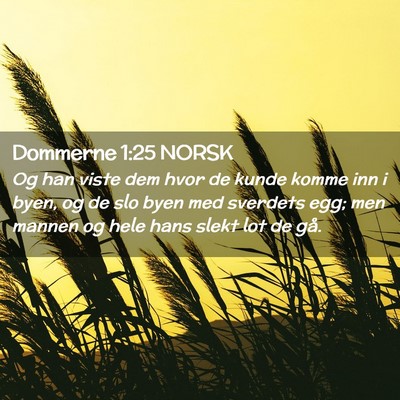 Picture 02 - Dommerne 1:25 NORSK - Og han viste dem hvor de kunde komme inn i byen, - Bible Verse Picture