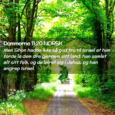 Picture 02 - Dommerne 11:20 NORSK - Men Sihon hadde ikke så god tro til Israel at - Bible Verse Picture