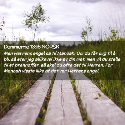 Picture 02 - Dommerne 13:16 NORSK - Men Herrens engel sa til Manoah: Om du får mig - Bible Verse Picture