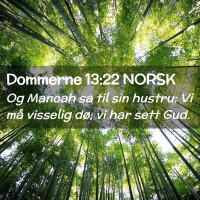 Picture 02 - Dommerne 13:22 NORSK - Og Manoah sa til sin hustru: Vi må visselig dø; - Bible Verse Picture