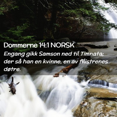 Picture 02 - Dommerne 14:1 NORSK - Engang gikk Samson ned til Timnata; der så han - Bible Verse Picture