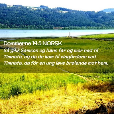 Picture 02 - Dommerne 14:5 NORSK - Så gikk Samson og hans far og mor ned til - Bible Verse Picture