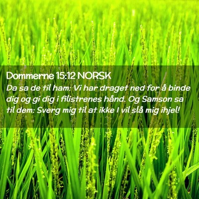 Picture 02 - Dommerne 15:12 NORSK - Da sa de til ham: Vi har draget ned for å binde - Bible Verse Picture