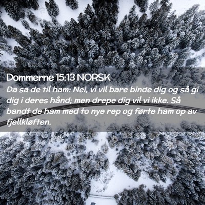 Picture 02 - Dommerne 15:13 NORSK - Da sa de til ham: Nei, vi vil bare binde dig og - Bible Verse Picture