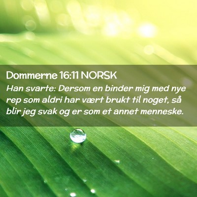 Picture 02 - Dommerne 16:11 NORSK - Han svarte: Dersom en binder mig med nye rep som - Bible Verse Picture