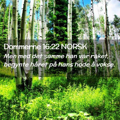 Picture 02 - Dommerne 16:22 NORSK - Men med det samme han var raket, begynte håret - Bible Verse Picture