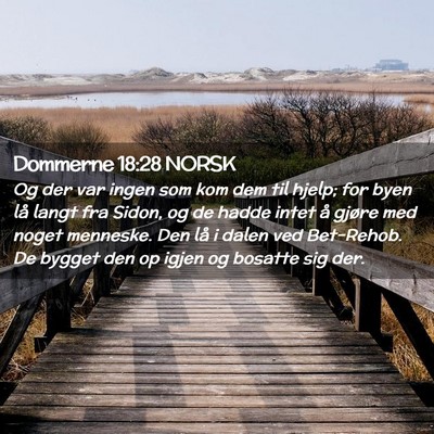 Picture 02 - Dommerne 18:28 NORSK - Og der var ingen som kom dem til hjelp; for byen - Bible Verse Picture