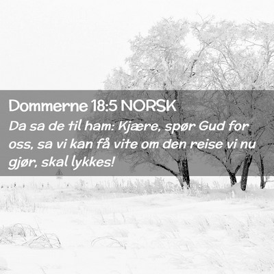 Picture 02 - Dommerne 18:5 NORSK - Da sa de til ham: Kjære, spør Gud for oss, sa - Bible Verse Picture