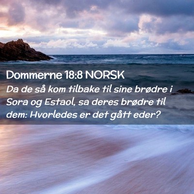 Picture 02 - Dommerne 18:8 NORSK - Da de så kom tilbake til sine brødre i Sora og - Bible Verse Picture