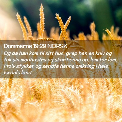 Picture 02 - Dommerne 19:29 NORSK - Og da han kom til sitt hus, grep han en kniv og - Bible Verse Picture