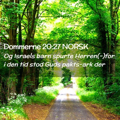 Picture 02 - Dommerne 20:27 NORSK - Og Israels barn spurte Herren(-)for i den tid - Bible Verse Picture