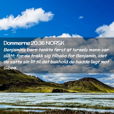 Picture 02 - Dommerne 20:36 NORSK - Benjamins barn tenkte først at Israels menn var - Bible Verse Picture