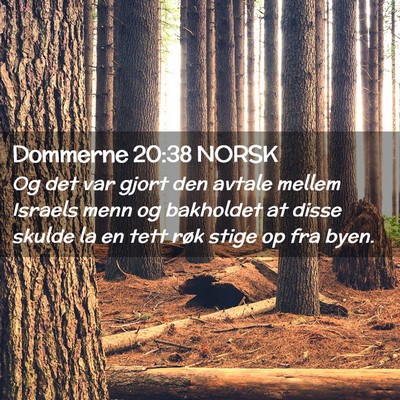 Picture 02 - Dommerne 20:38 NORSK - Og det var gjort den avtale mellem Israels menn - Bible Verse Picture