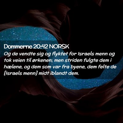 Picture 02 - Dommerne 20:42 NORSK - Og de vendte sig og flyktet for Israels menn og - Bible Verse Picture