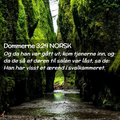 Picture 02 - Dommerne 3:24 NORSK - Og da han var gått ut, kom tjenerne inn, og da - Bible Verse Picture