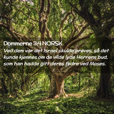 Picture 02 - Dommerne 3:4 NORSK - Ved dem var det Israel skulde prøves, så det - Bible Verse Picture