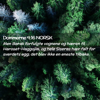 Picture 02 - Dommerne 4:16 NORSK - Men Barak forfulgte vognene og hæren til - Bible Verse Picture