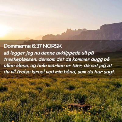 Picture 02 - Dommerne 6:37 NORSK - så legger jeg nu denne avklippede ull på - Bible Verse Picture