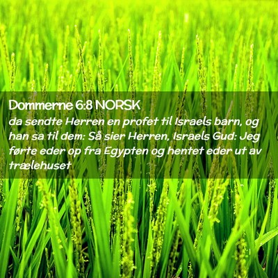 Picture 02 - Dommerne 6:8 NORSK - da sendte Herren en profet til Israels barn, og - Bible Verse Picture