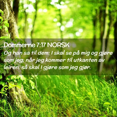 Picture 02 - Dommerne 7:17 NORSK - Og han sa til dem: I skal se på mig og gjøre - Bible Verse Picture