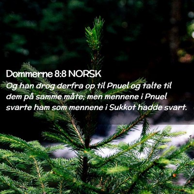Picture 02 - Dommerne 8:8 NORSK - Og han drog derfra op til Pnuel og talte til dem - Bible Verse Picture