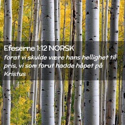 Picture 02 - Efeserne 1:12 NORSK - forat vi skulde være hans hellighet til pris, vi - Bible Verse Picture