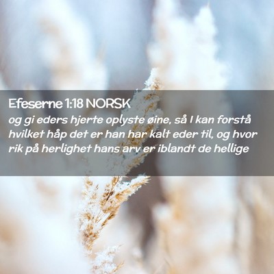 Picture 02 - Efeserne 1:18 NORSK - og gi eders hjerte oplyste øine, så I kan - Bible Verse Picture