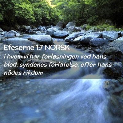 Picture 02 - Efeserne 1:7 NORSK - i hvem vi har forløsningen ved hans blod, - Bible Verse Picture
