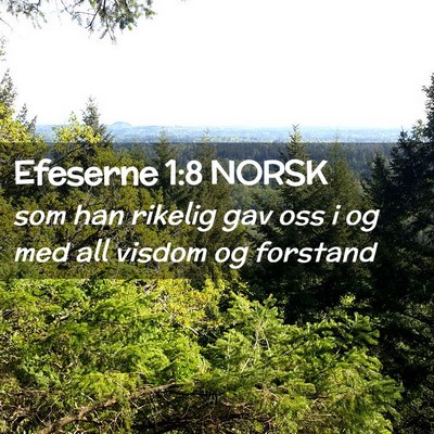 Picture 02 - Efeserne 1:8 NORSK - som han rikelig gav oss i og med all visdom og - Bible Verse Picture