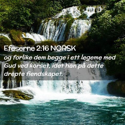 Picture 02 - Efeserne 2:16 NORSK - og forlike dem begge i ett legeme med Gud ved - Bible Verse Picture