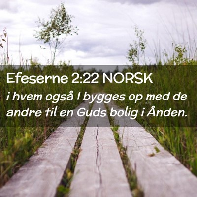 Picture 02 - Efeserne 2:22 NORSK - i hvem også I bygges op med de andre til en Guds - Bible Verse Picture