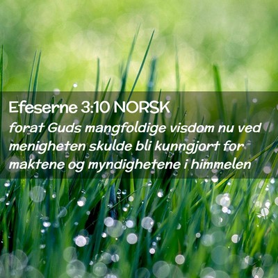 Picture 02 - Efeserne 3:10 NORSK - forat Guds mangfoldige visdom nu ved menigheten - Bible Verse Picture