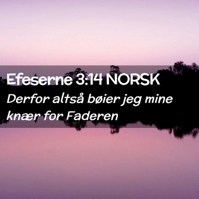 Picture 02 - Efeserne 3:14 NORSK - Derfor altså bøier jeg mine knær for - Bible Verse Picture