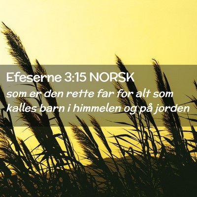 Picture 02 - Efeserne 3:15 NORSK - som er den rette far for alt som kalles barn i - Bible Verse Picture