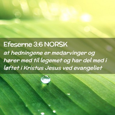 Picture 02 - Efeserne 3:6 NORSK - at hedningene er medarvinger og hører med til - Bible Verse Picture