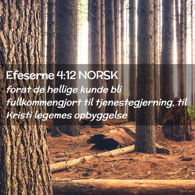 Picture 02 - Efeserne 4:12 NORSK - forat de hellige kunde bli fullkommengjort til - Bible Verse Picture