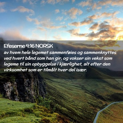 Picture 02 - Efeserne 4:16 NORSK - av hvem hele legemet sammenføies og - Bible Verse Picture