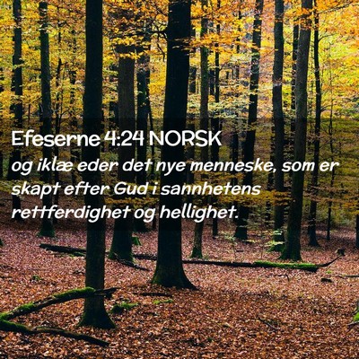Picture 02 - Efeserne 4:24 NORSK - og iklæ eder det nye menneske, som er skapt - Bible Verse Picture
