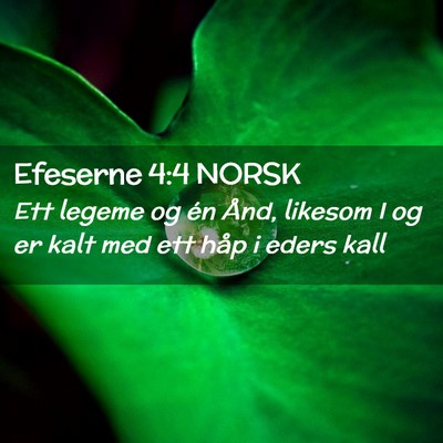 Picture 02 - Efeserne 4:4 NORSK - Ett legeme og én Ånd, likesom I og er kalt med - Bible Verse Picture