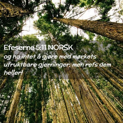 Picture 02 - Efeserne 5:11 NORSK - og ha intet å gjøre med mørkets ufruktbare - Bible Verse Picture