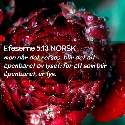 Picture 02 - Efeserne 5:13 NORSK - men når det refses, blir det alt åpenbaret av - Bible Verse Picture
