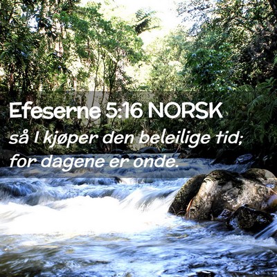Picture 02 - Efeserne 5:16 NORSK - så I kjøper den beleilige tid; for dagene er - Bible Verse Picture