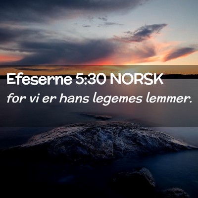 Picture 02 - Efeserne 5:30 NORSK - for vi er hans legemes - Bible Verse Picture