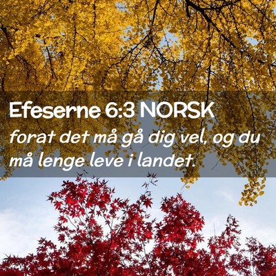 Picture 02 - Efeserne 6:3 NORSK - forat det må gå dig vel, og du må lenge leve i - Bible Verse Picture